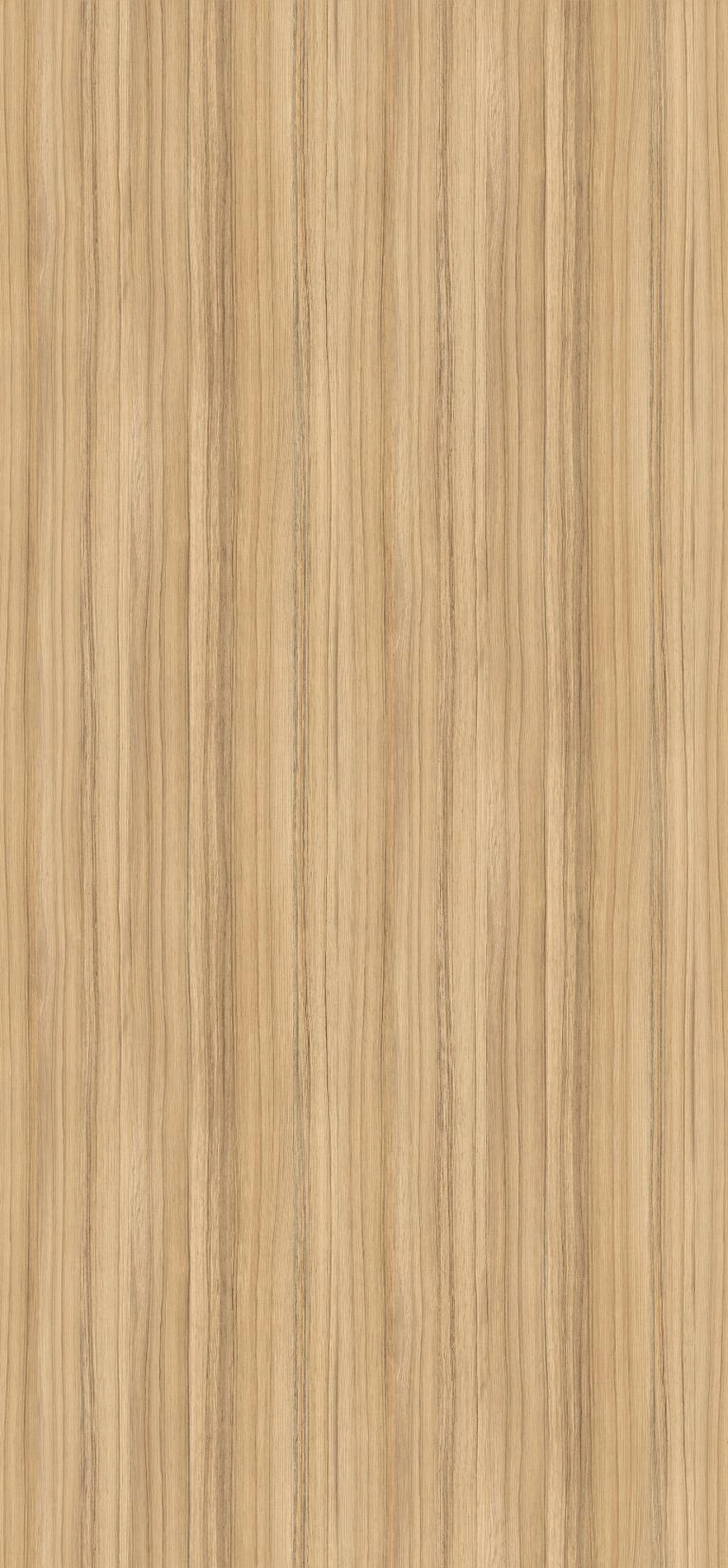 H3012 ST22 - Coco Bolo: imagen 1