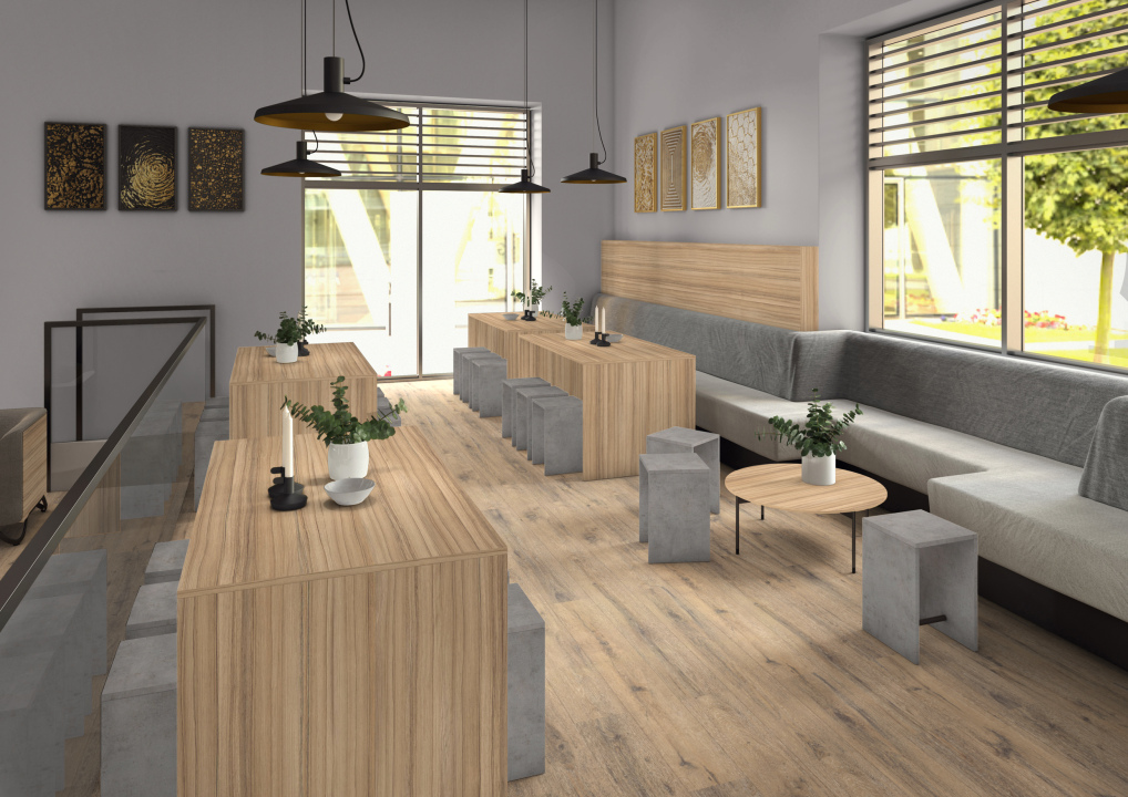 H3012 ST22 - Coco Bolo: imagen 2