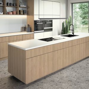 H3309 ST28 - Roble Gladstone Arena: imagen 2