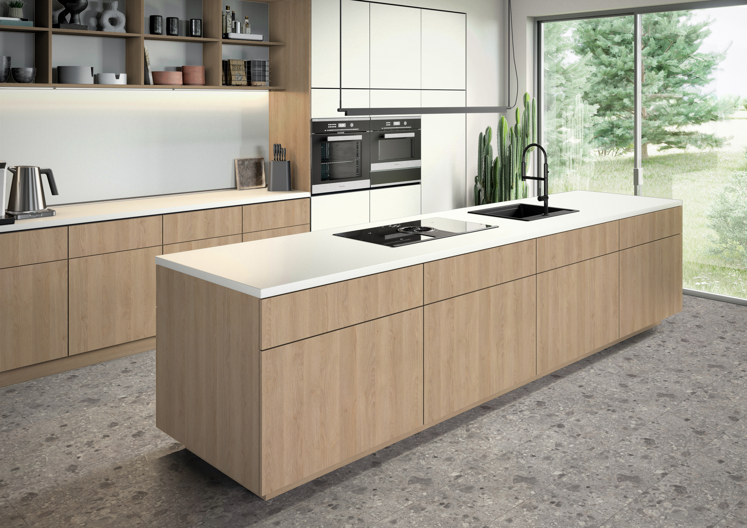 H3309 ST28 - Roble Gladstone Arena: imagen 2