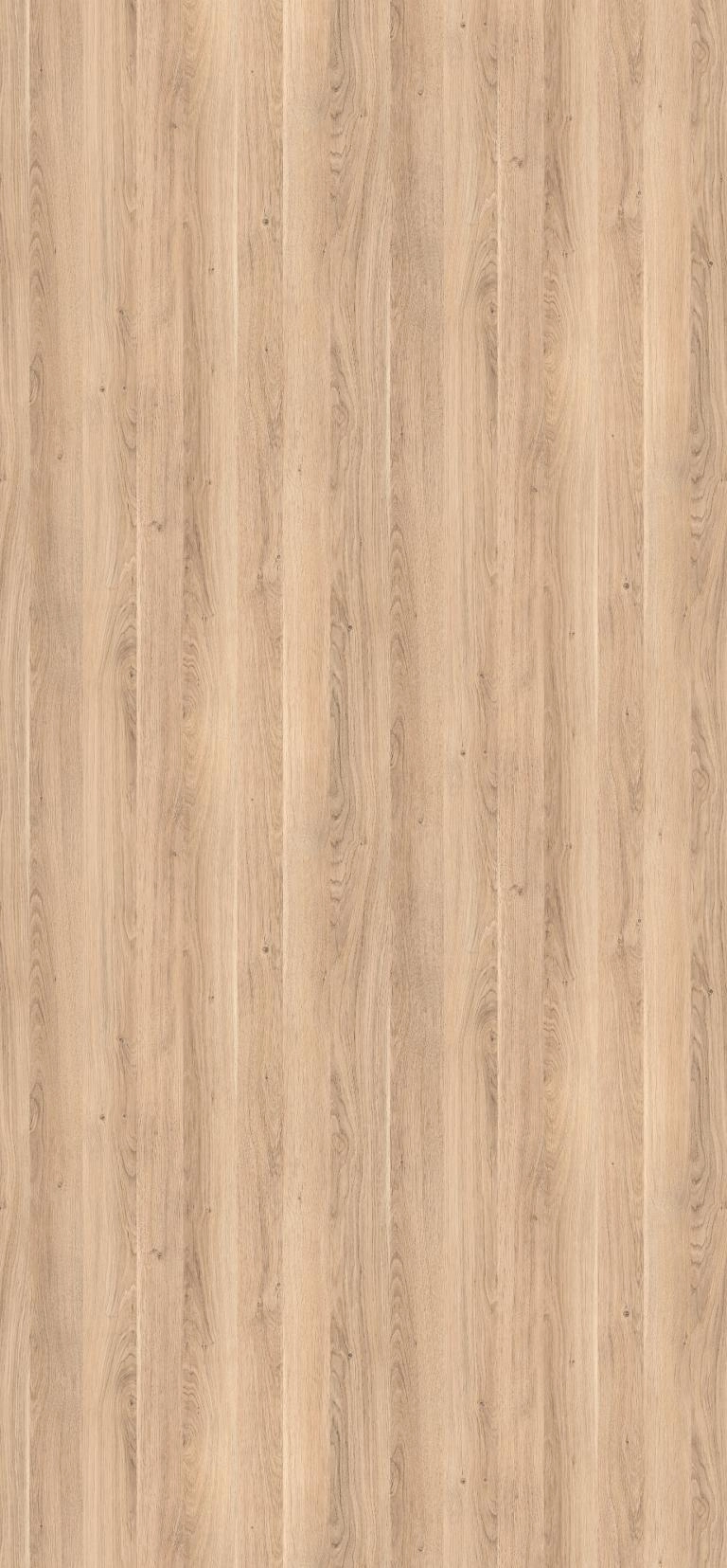 H3311 TM28 - Roble Cuneo: imagen 1