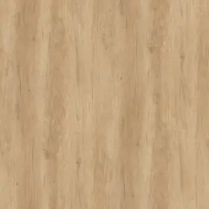 H3331 ST10 - Roble Nebraska Natural