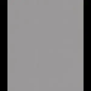 I004 - Inox Brosse