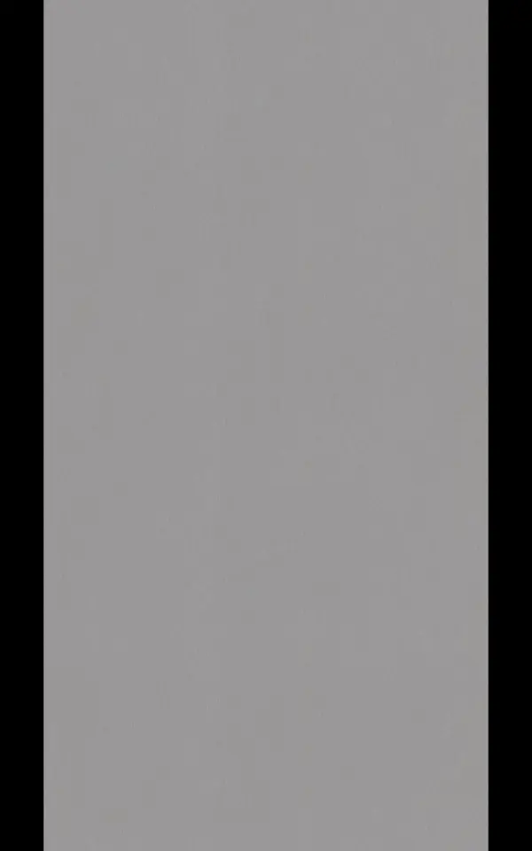 I004 - Inox Brosse