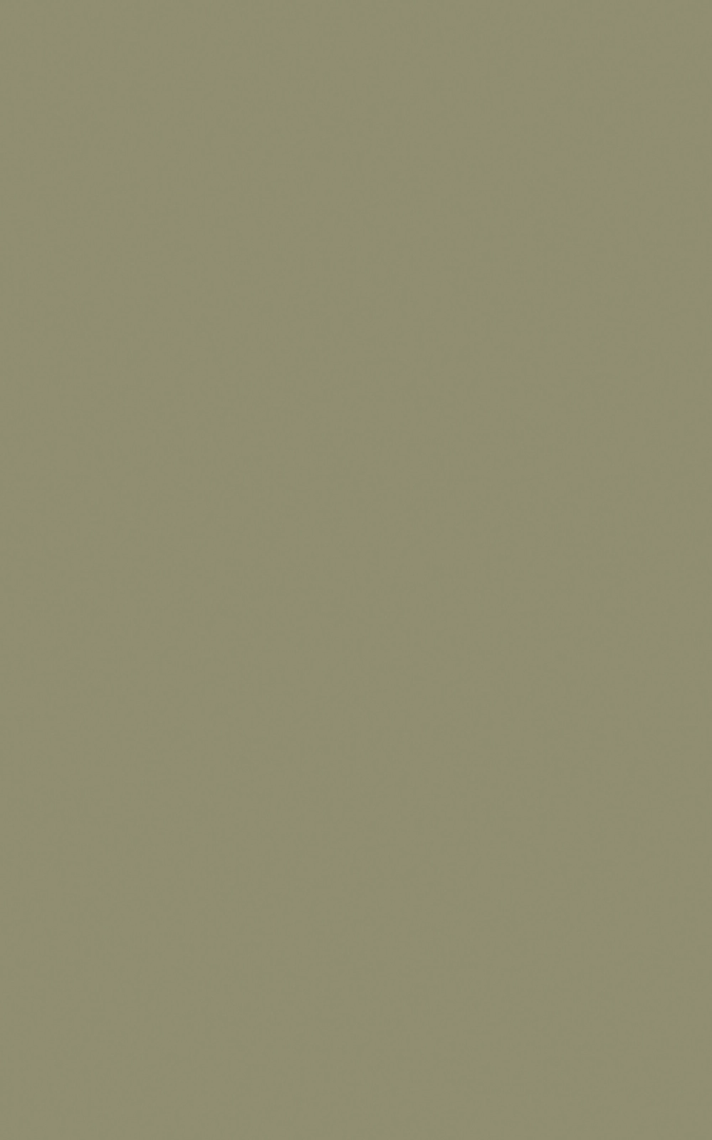 K003 - Kaki: imagen 1