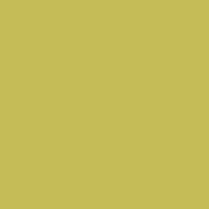 N002 - Neon