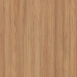 O079 - Orme Armagnac