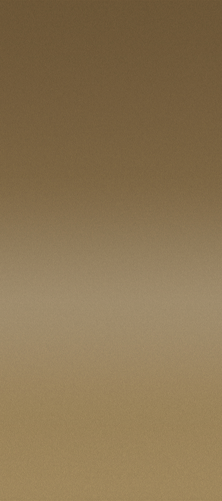 O100 - Or Brosse