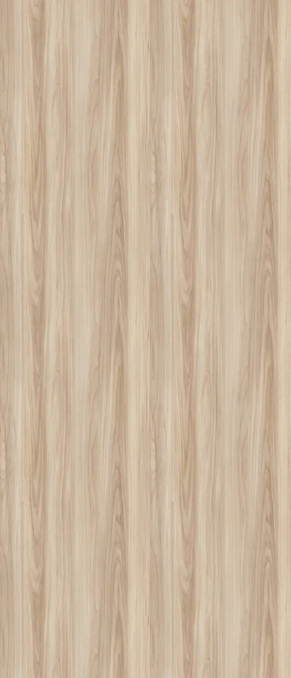 O116 - Orme Elegant