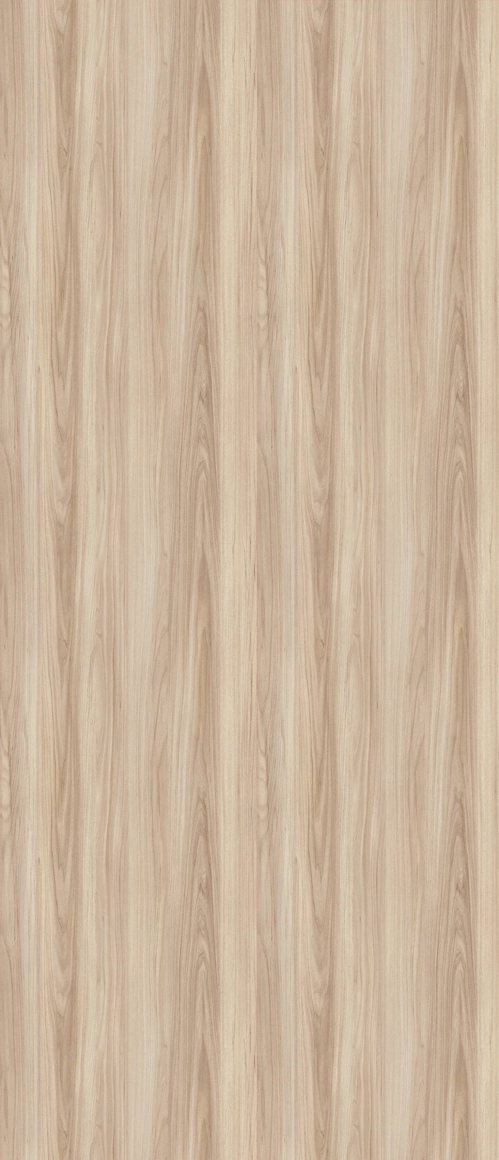 O116 - Orme Elegant: imagen 1