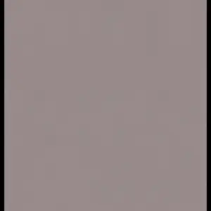 P024 - Pearl Argent