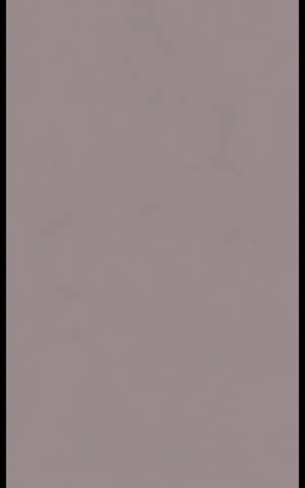 P024 - Pearl Argent