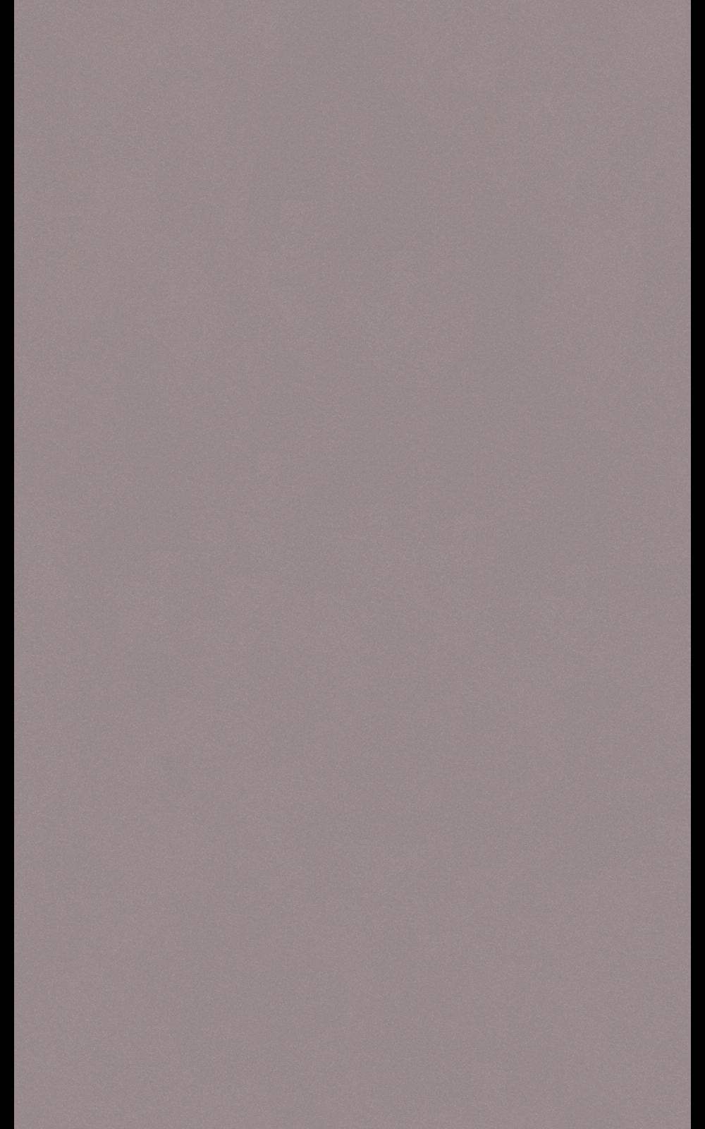 P024 - Pearl Argent: imagen 1