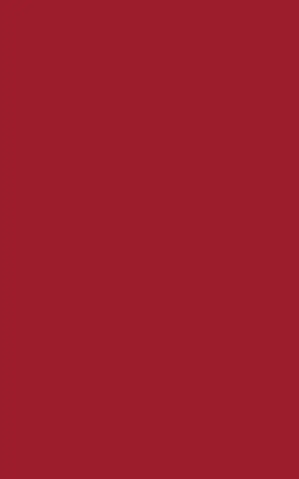 R036 - Rouge Cerise