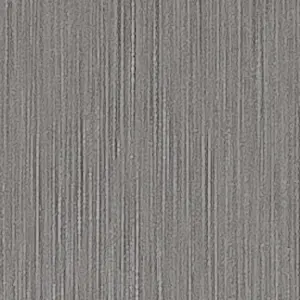 T113 - Tungstene Brosse Mat