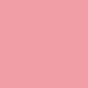 U363 - Rosa Flamingo