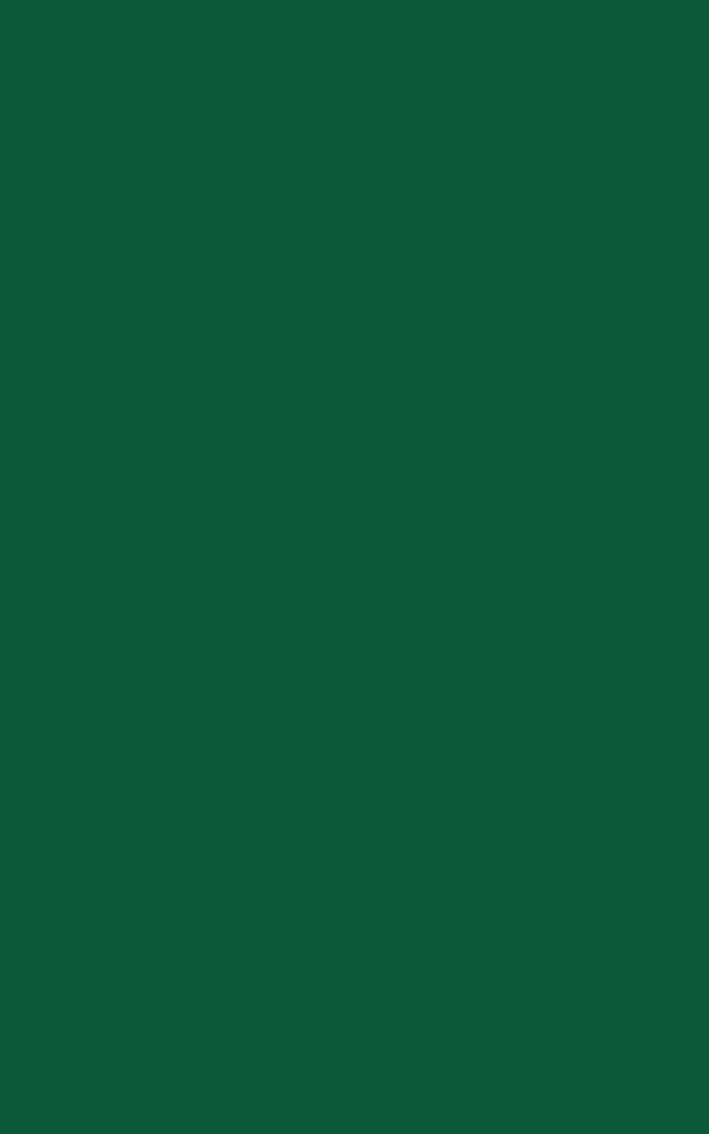 V108 - Vert Sarcelle: imagen 1