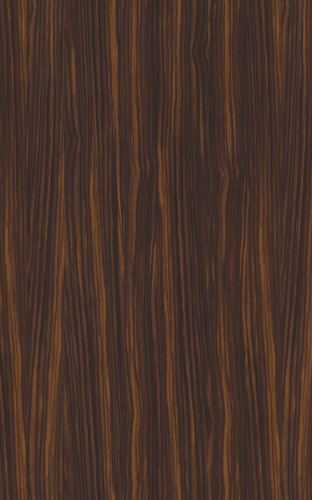 Z002 - Zebra Moka: imagen 1
