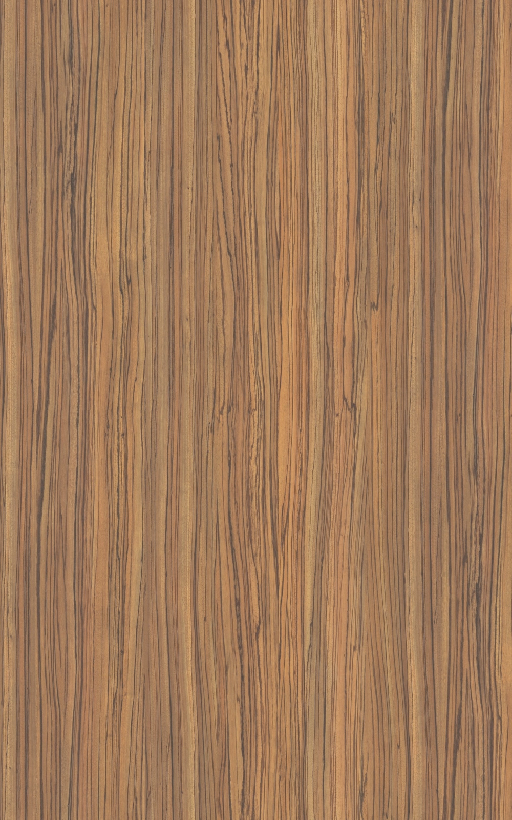 Z017 - Zingana: imagen 1