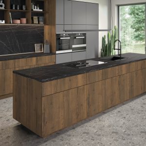 H3180 - Roble Halifax: imagen 2