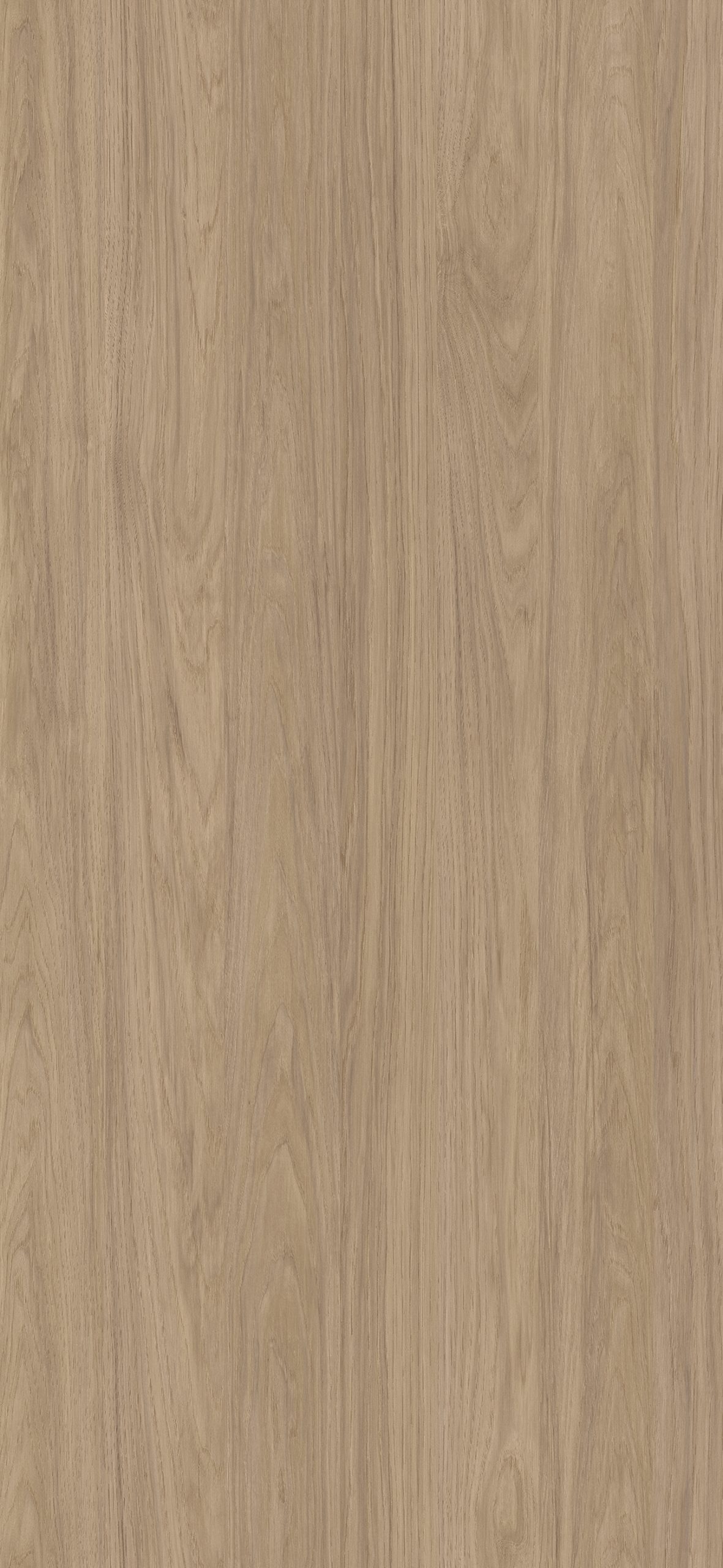611B - Hickory Varo: imagen 1