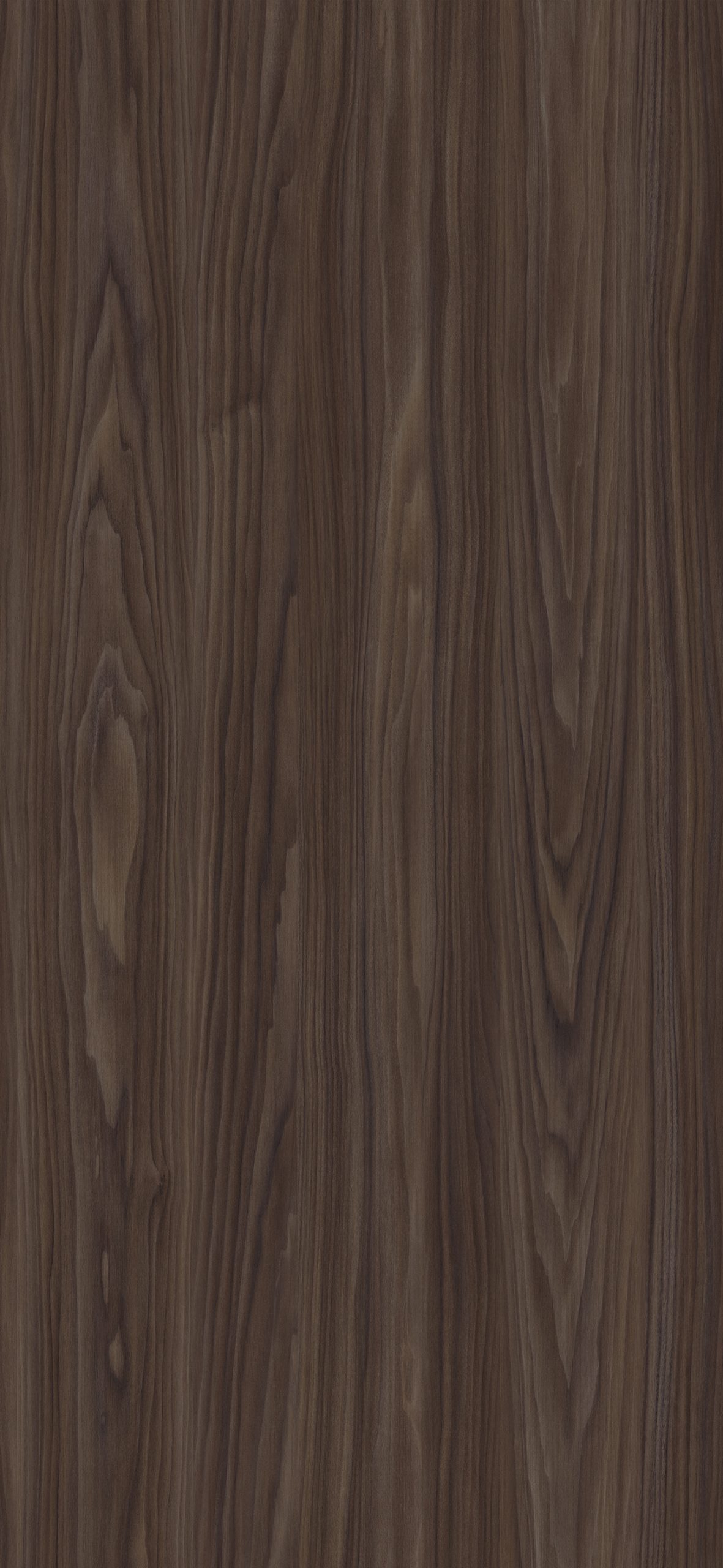 665B - Diana Walnut: imagen 1