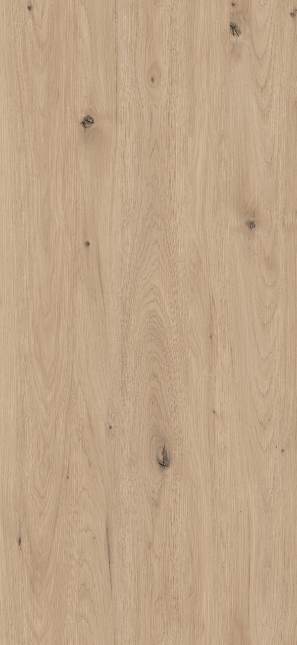686B - Carya Wood