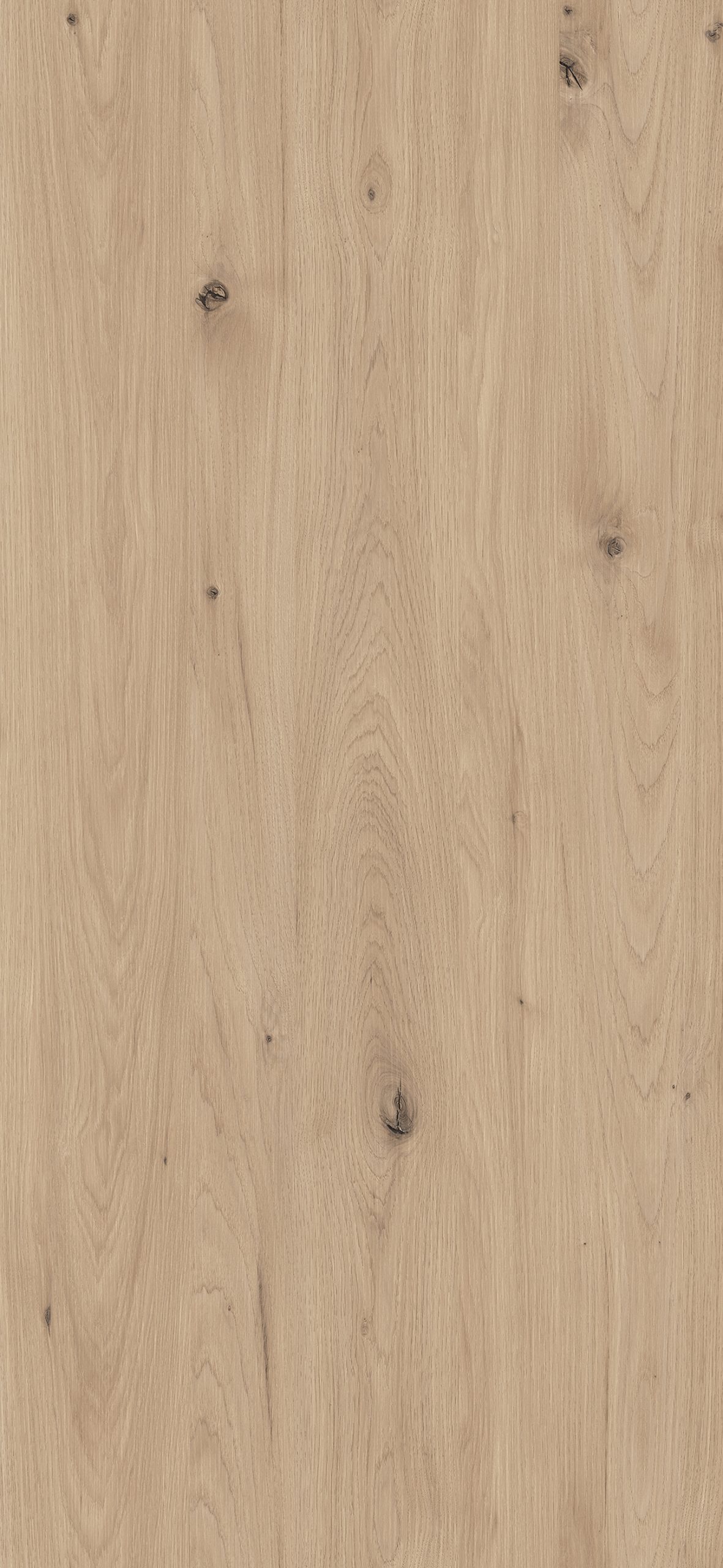 686B - Carya Wood: imagen 1