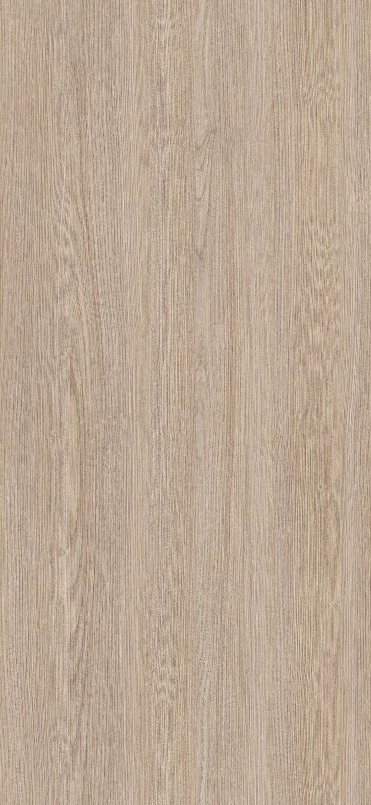 688B - Tivoli Ash: imagen 1