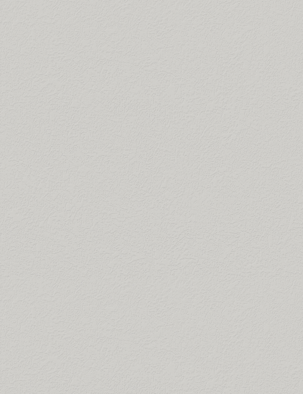 0112 BS  - Stone Grey - Compacto Ext Kronoart