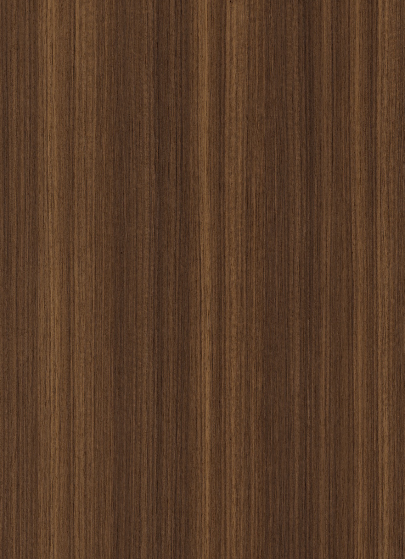 255b - Tasmanian Moka: imagen 1
