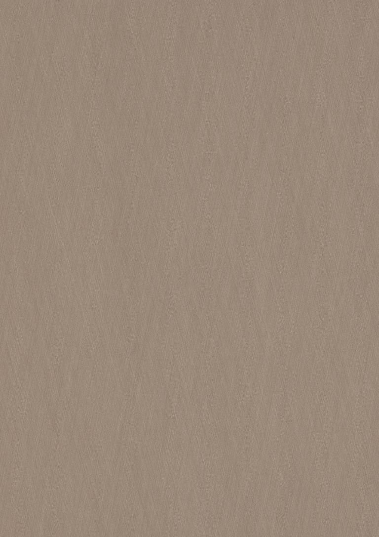 F579 ST20 - Metal Champán Cruzado: imagen 1